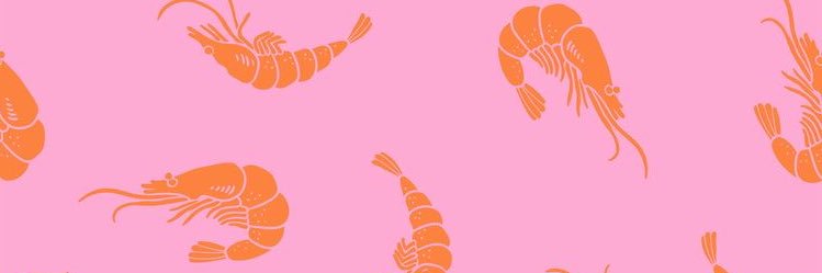 SkimpyShrimp's profile banner image