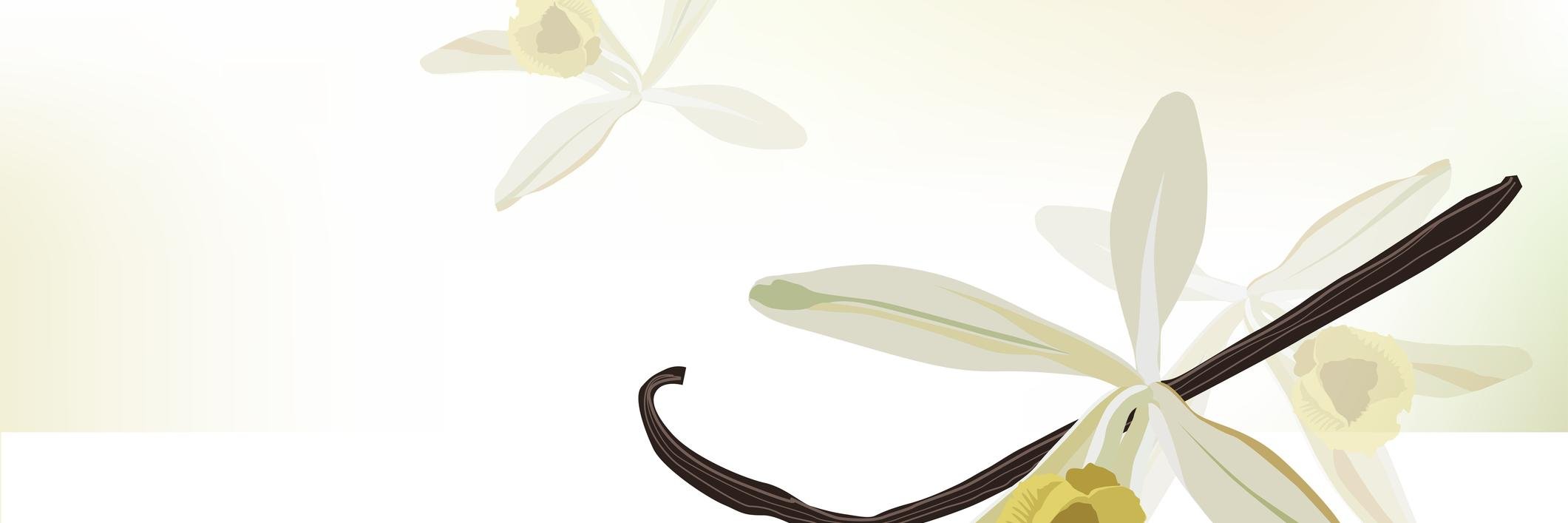 CarobComm's profile banner image