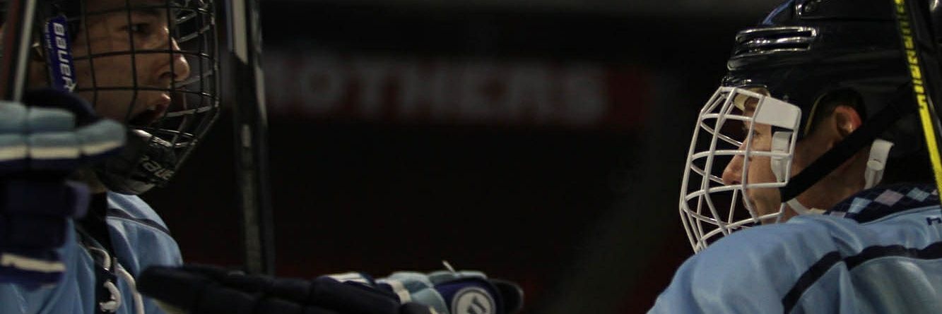 Alexei Kouminov banner