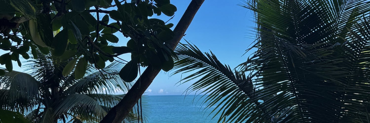 pabrasil_'s profile banner image