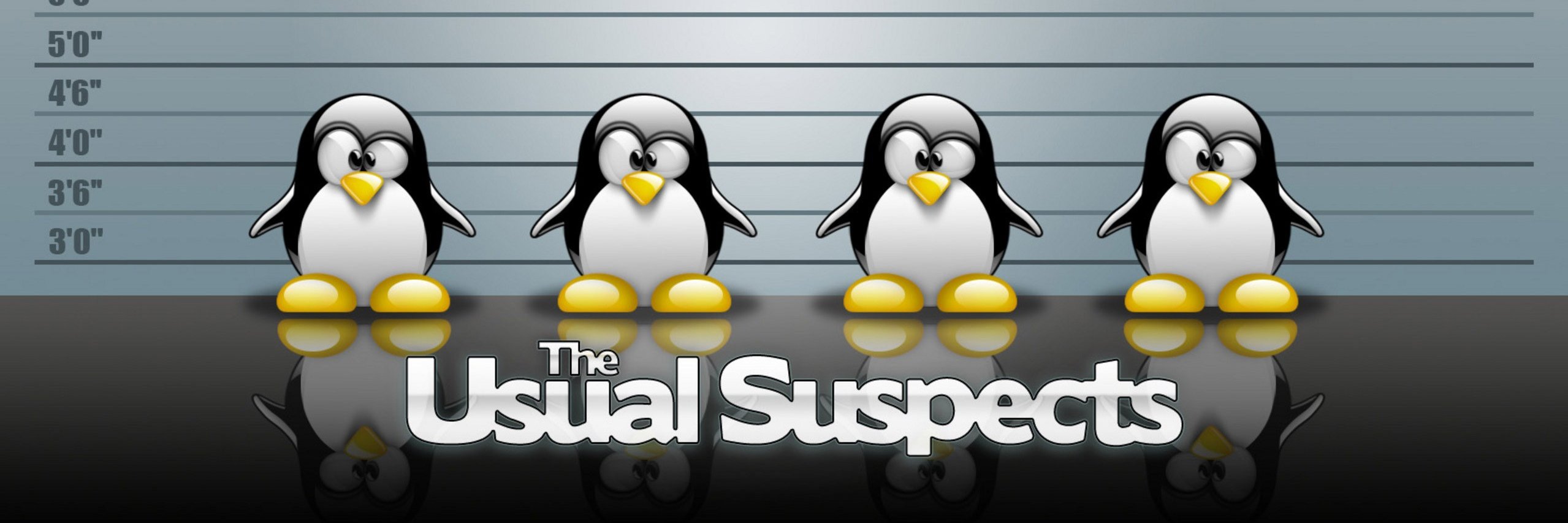 UcanPenguen's profile banner image