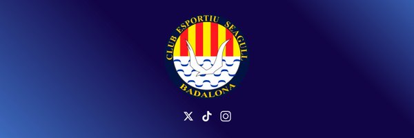 ceseagullbdn Profile Banner