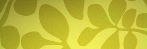 Susanabas's profile banner image