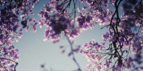 Emilyhooper20's profile banner image
