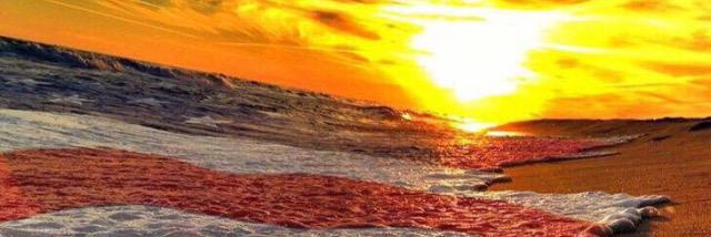 T_Rapp11's profile banner image