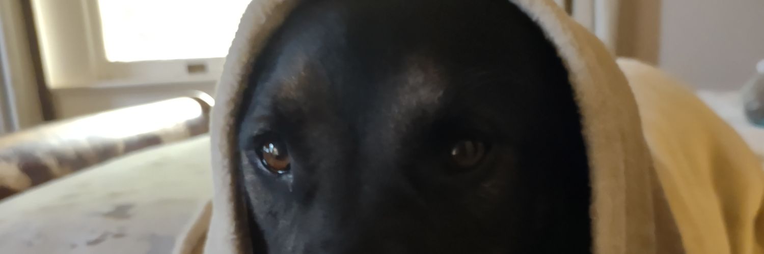 jayhogewood's profile banner image