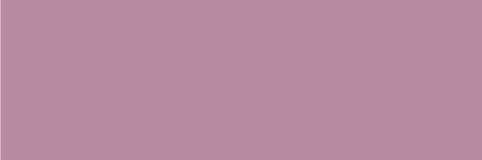 pony 🎀 lll banner