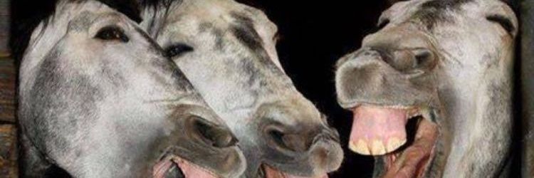 CELAYR's profile banner image