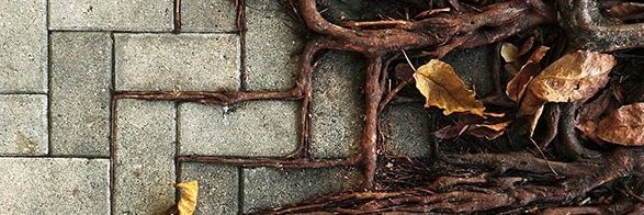 awayoutofnoway's profile banner image