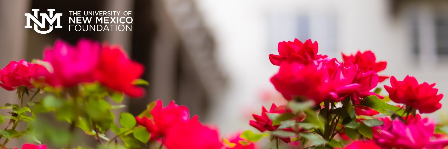 The University of New Mexico Foundation, Inc. banner