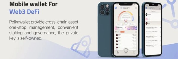 polkawallet Profile Banner