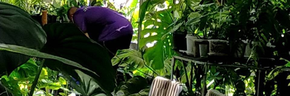 M A L I E E banner