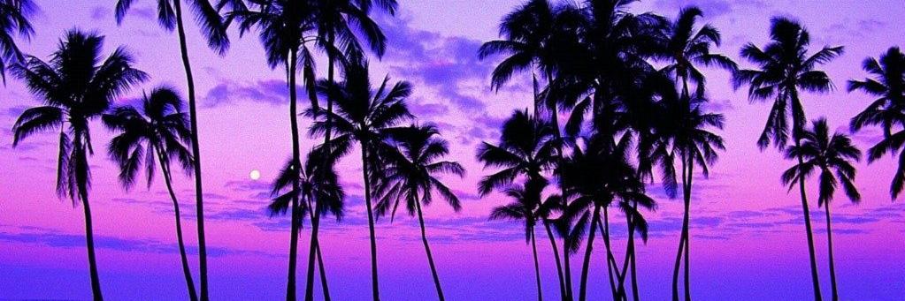noah_jerm's profile banner image