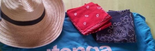 Hector Sanchez banner