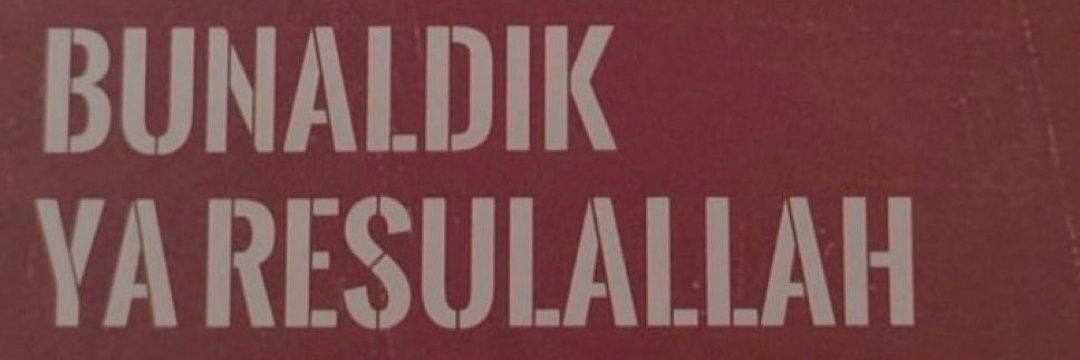 vicdaninsani's profile banner image