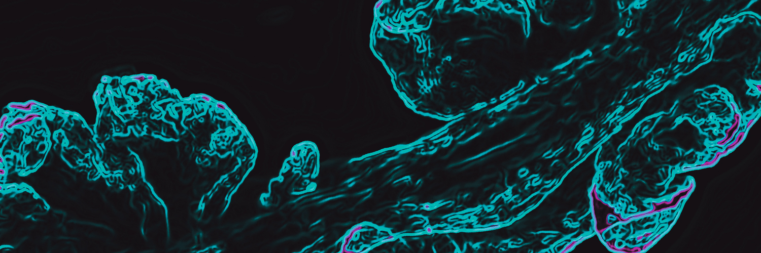 Nature Neuroscience's banner