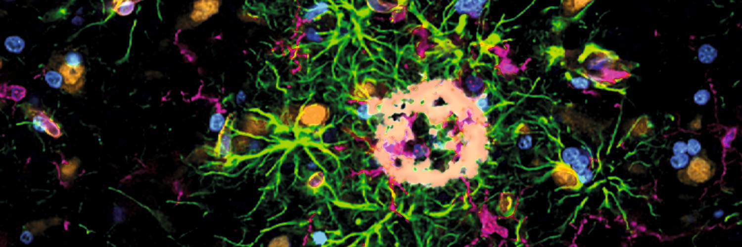 Nature Neuroscience banner