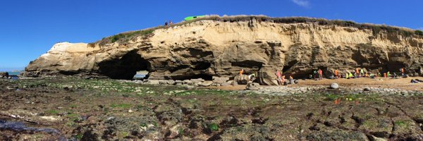 dr_sbriggs Profile Banner