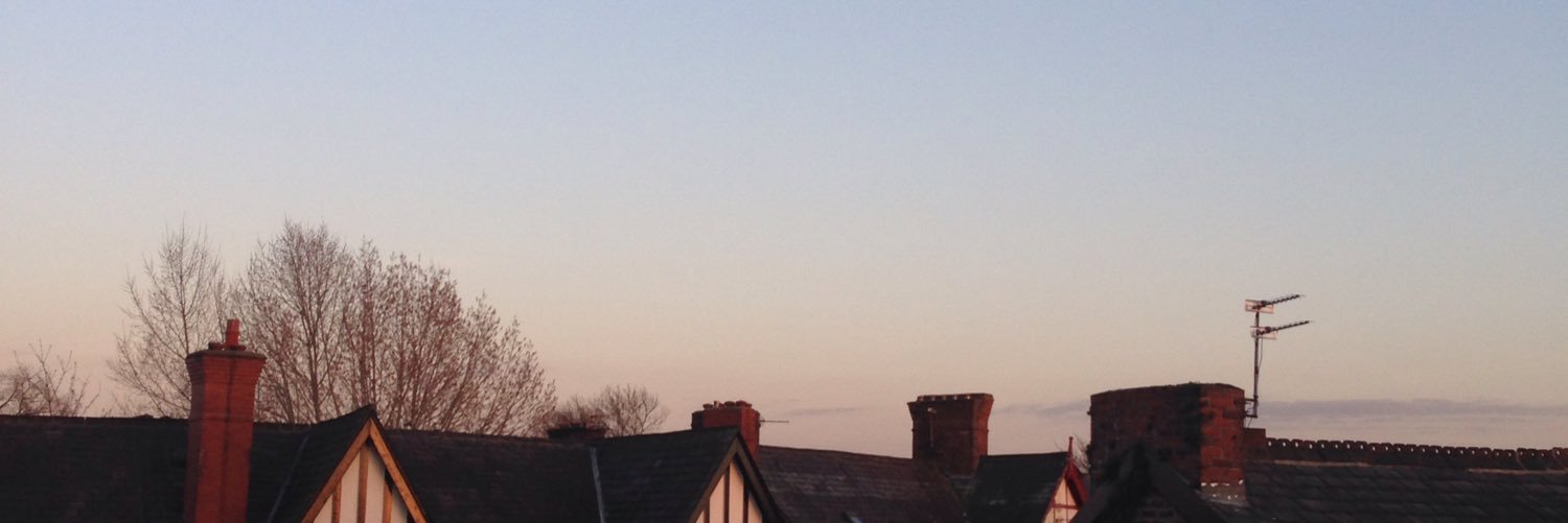 bea_ash's profile banner image