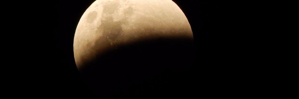 ReeDakotta's profile banner image