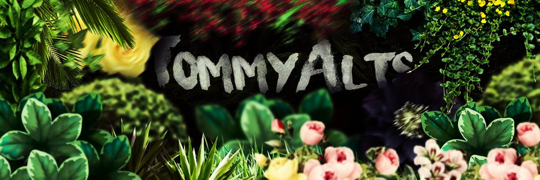 🇨🇴| T o o m m y. 🦄 banner