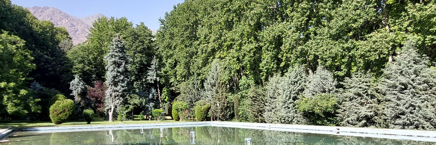 Princess 1976🕊 banner