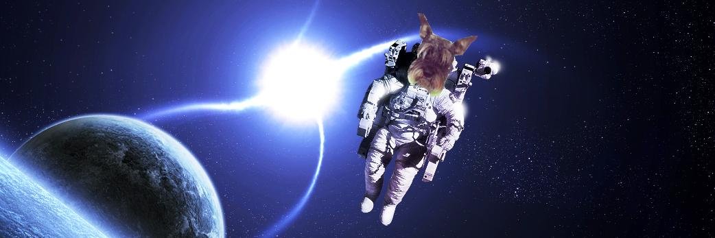 ✨🚀🇲🇽 (𝑻𝒂𝒚𝒍𝒐𝒓'𝒔 𝑽𝒆𝒓𝒔𝒊𝒐𝒏) banner