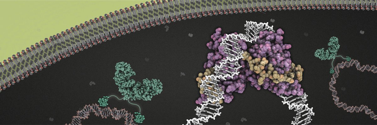 Owen Davies Lab banner