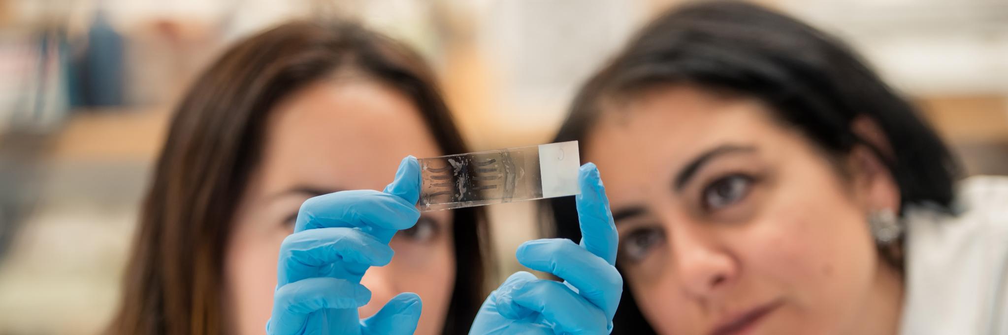 Sadri-Vakili lab banner