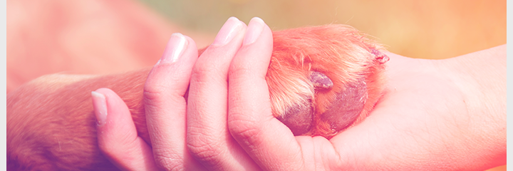 YahairaSteph's profile banner image