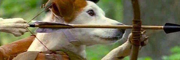 AdmiralAim's profile banner image