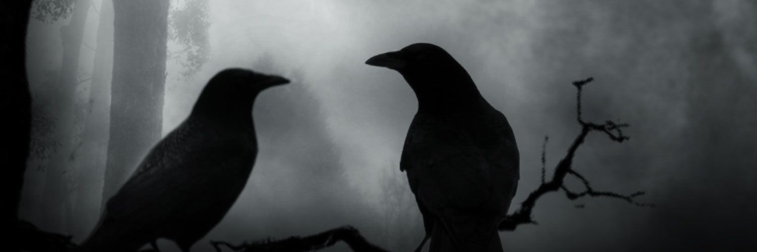 dire_ctor_crow's profile banner image