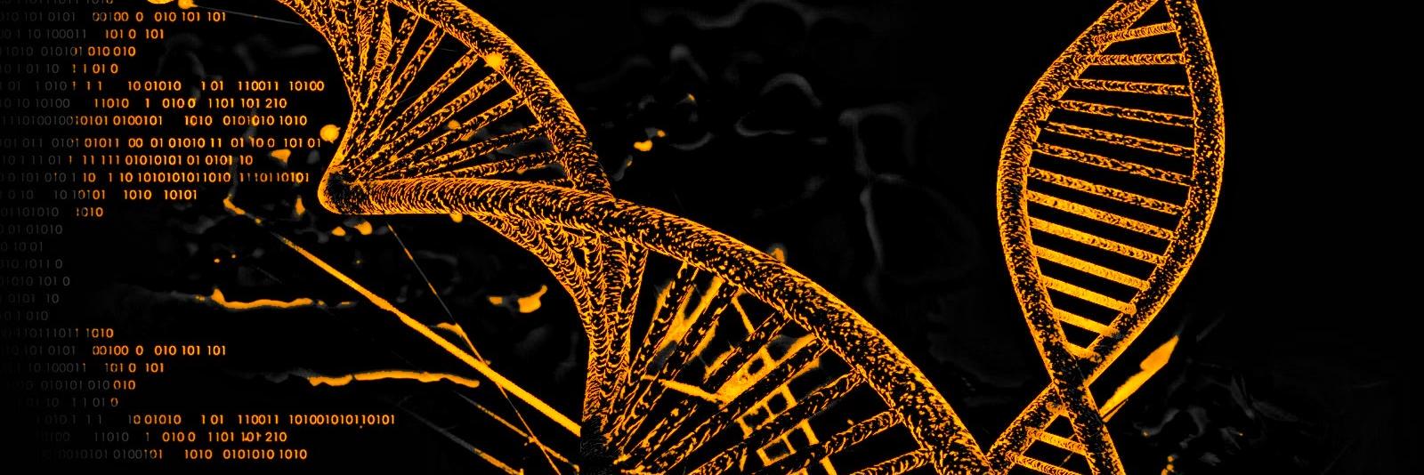 🏴{ [ RJ Miller ] }🏴 banner