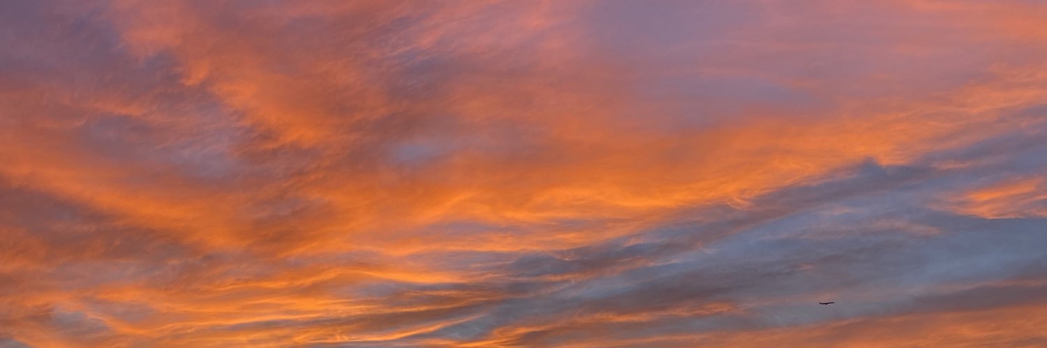 meeowlory's profile banner image