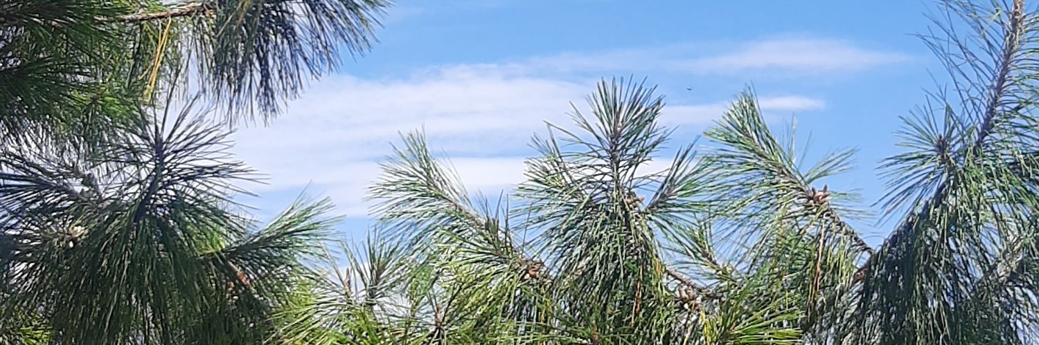 Patris16980's profile banner image