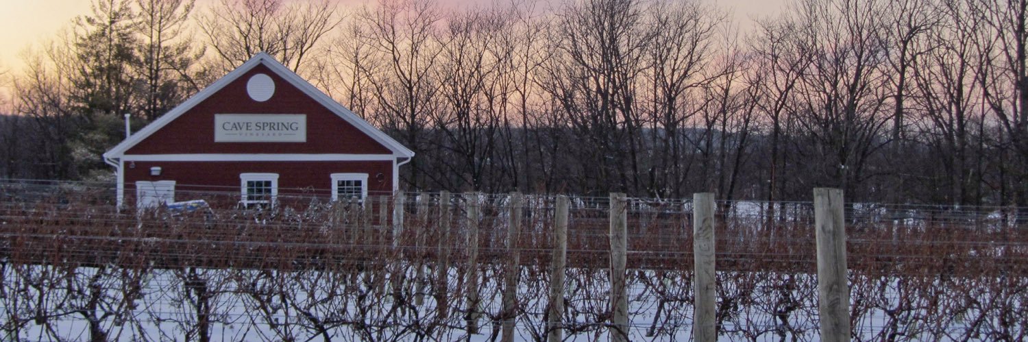 Cave Spring Vineyard banner
