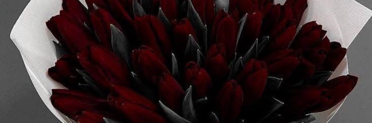 vilevolupte's profile banner image