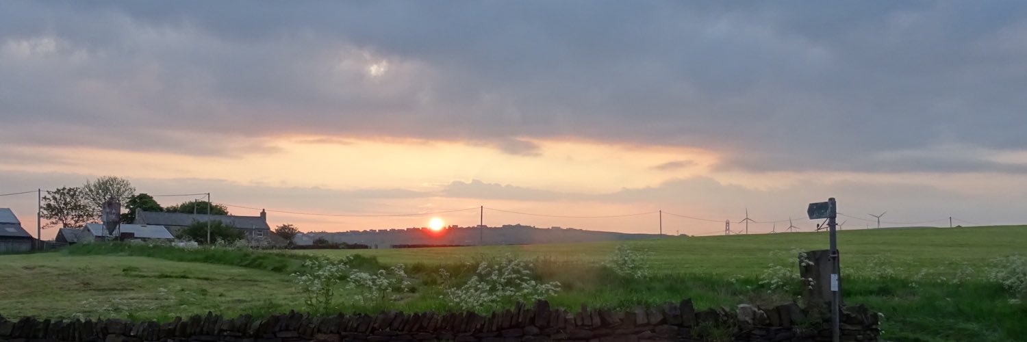 eileenent's profile banner image