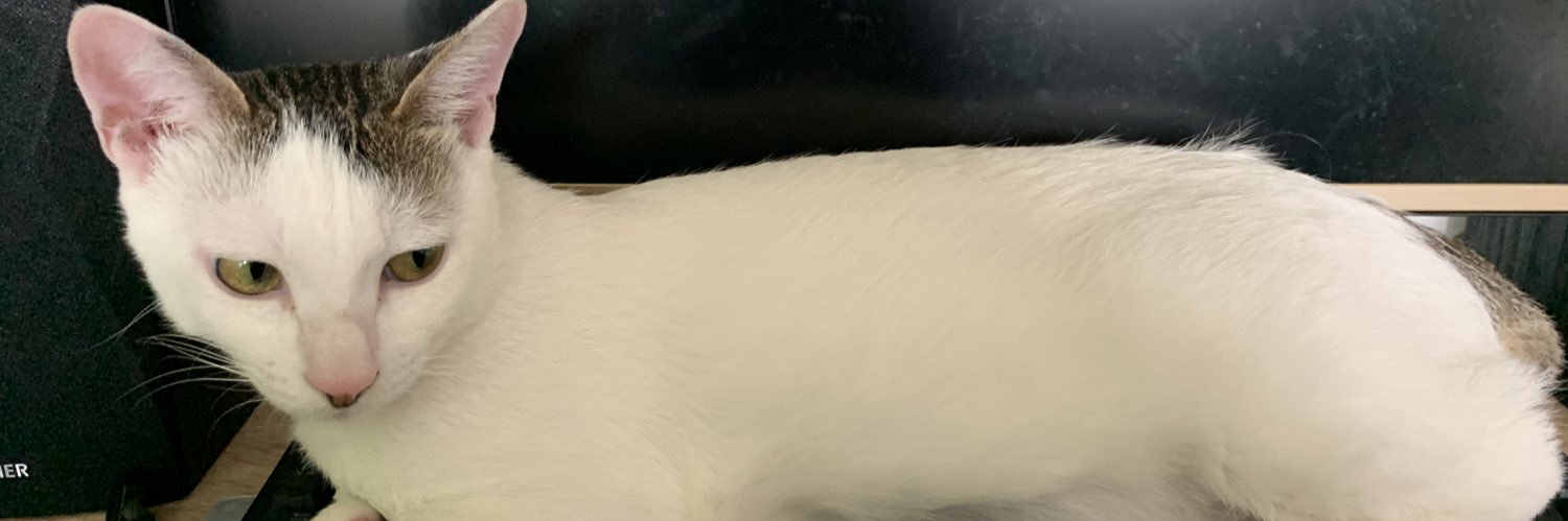 ゆう banner