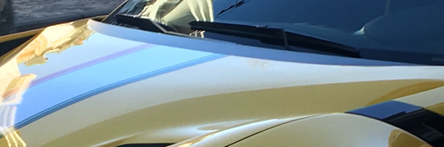 Alexander Prins banner