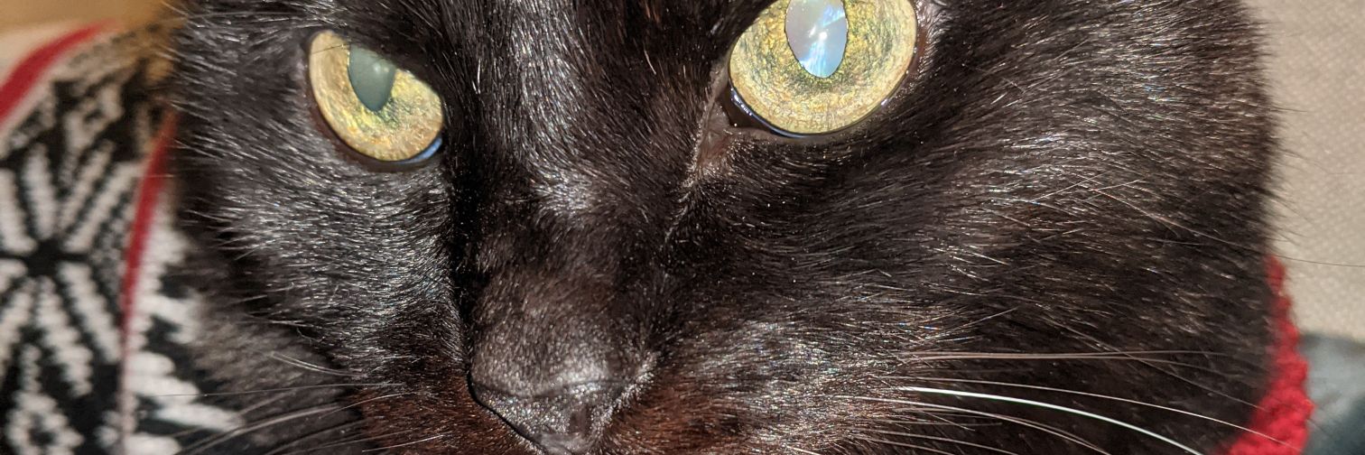 Rummy26's profile banner image