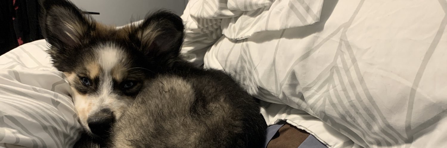 allyyfitzgerald's profile banner image