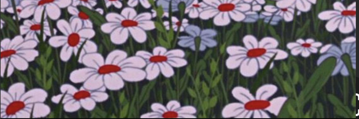 نهى banner