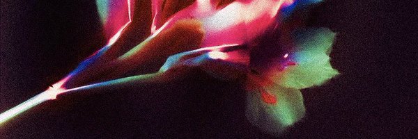 melogy_jpeg Profile Banner