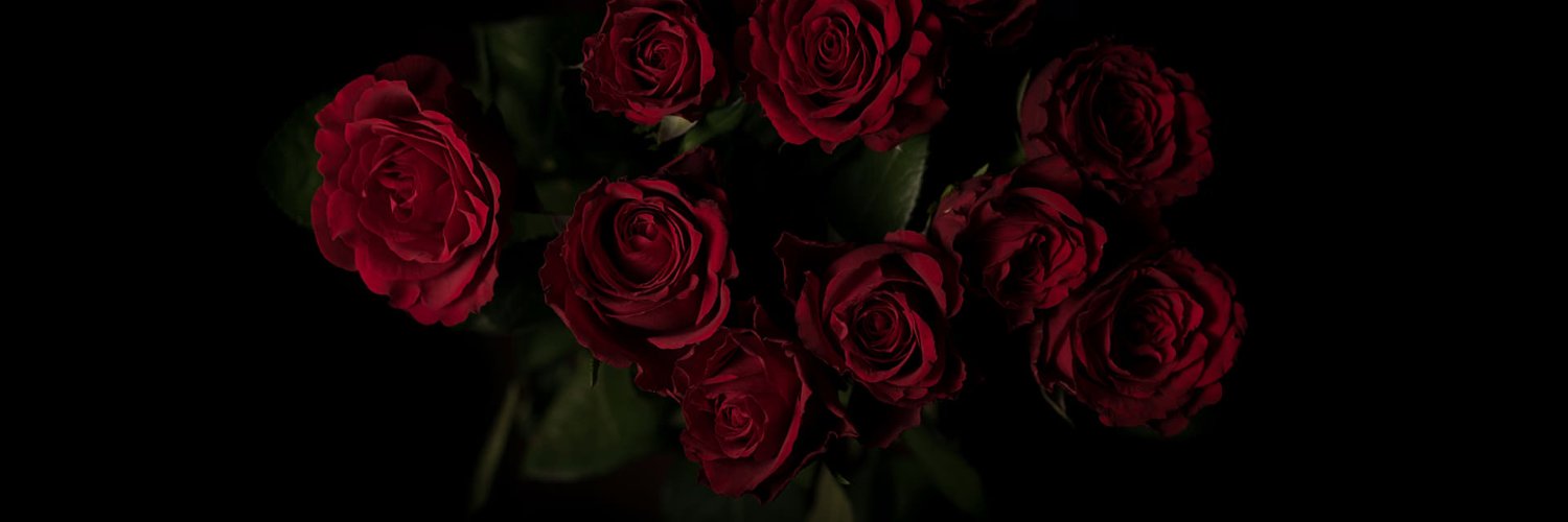 Elizabeth Barnes banner