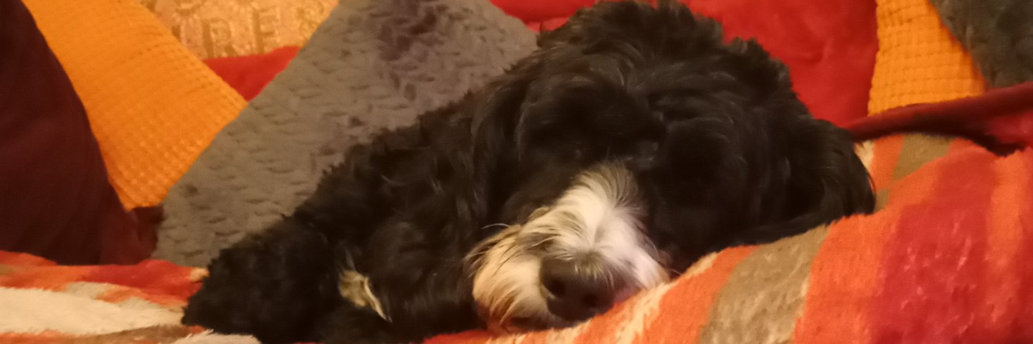 Leighmundo Fandango banner