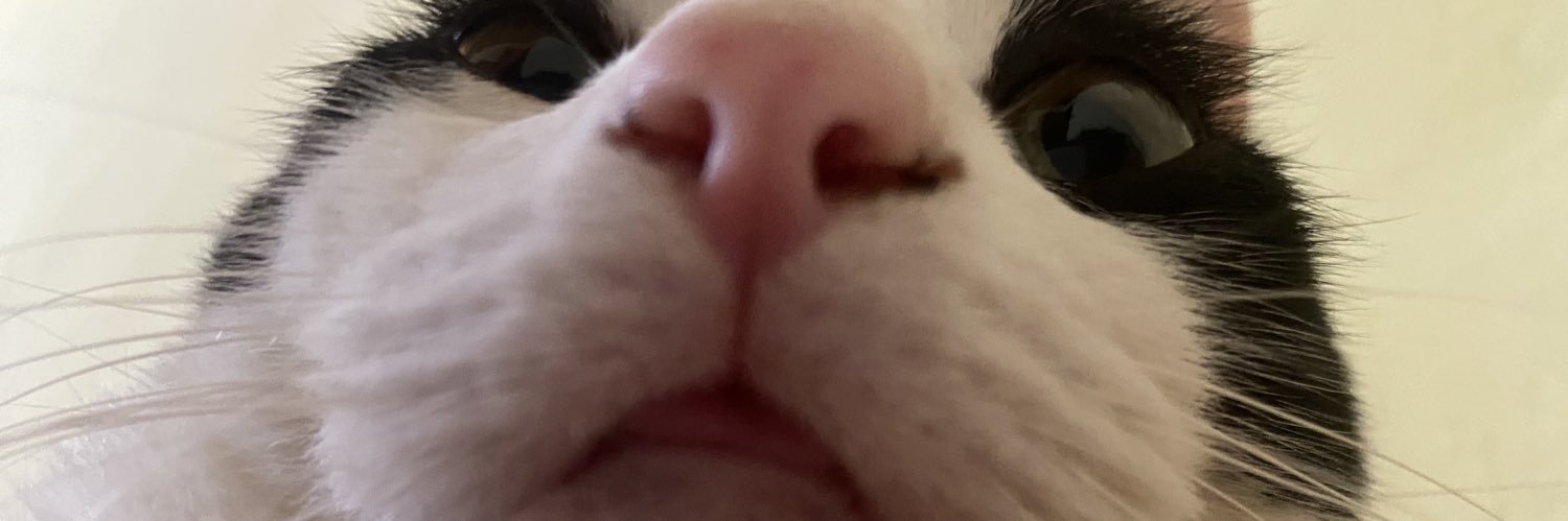 CaroolinaRojaas's profile banner image