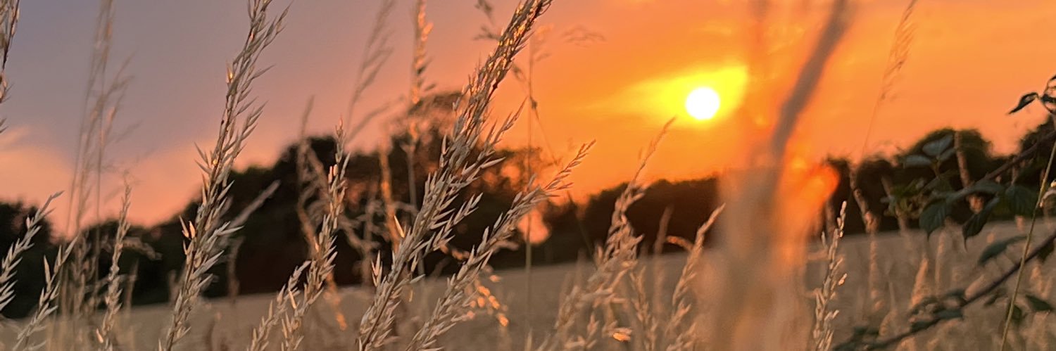 🌸BobB 🦖#wasoneofmydogs 🐶 banner