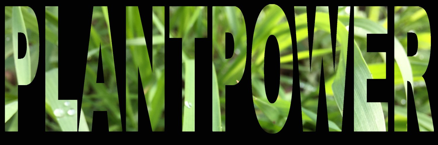 AliveVegans's profile banner image