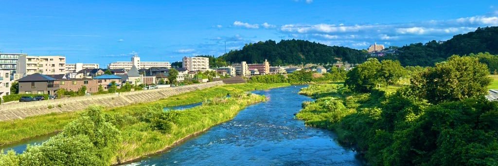魚板猫 banner
